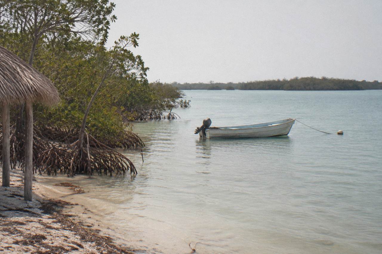 Calm lagoon water and mangrove trees under a wide sky inside the biosphere