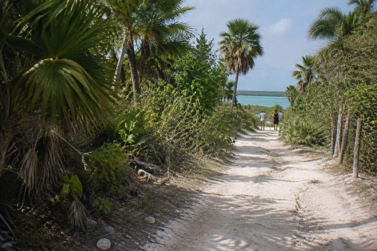 A narrow unpaved dirt track cutting through low tropical forest toward a coastal lagoon