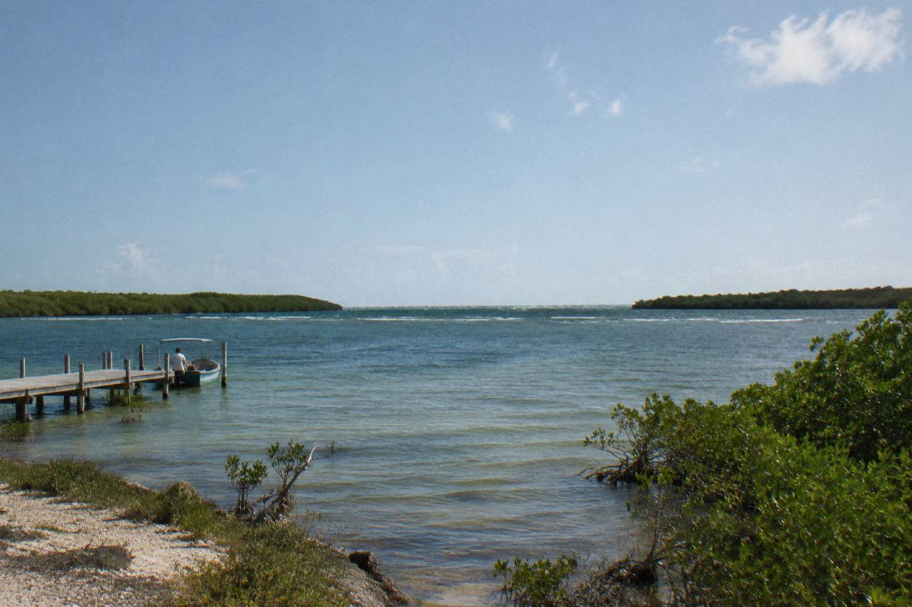 Calm lagoon water fringed by mangroves under a wide sky