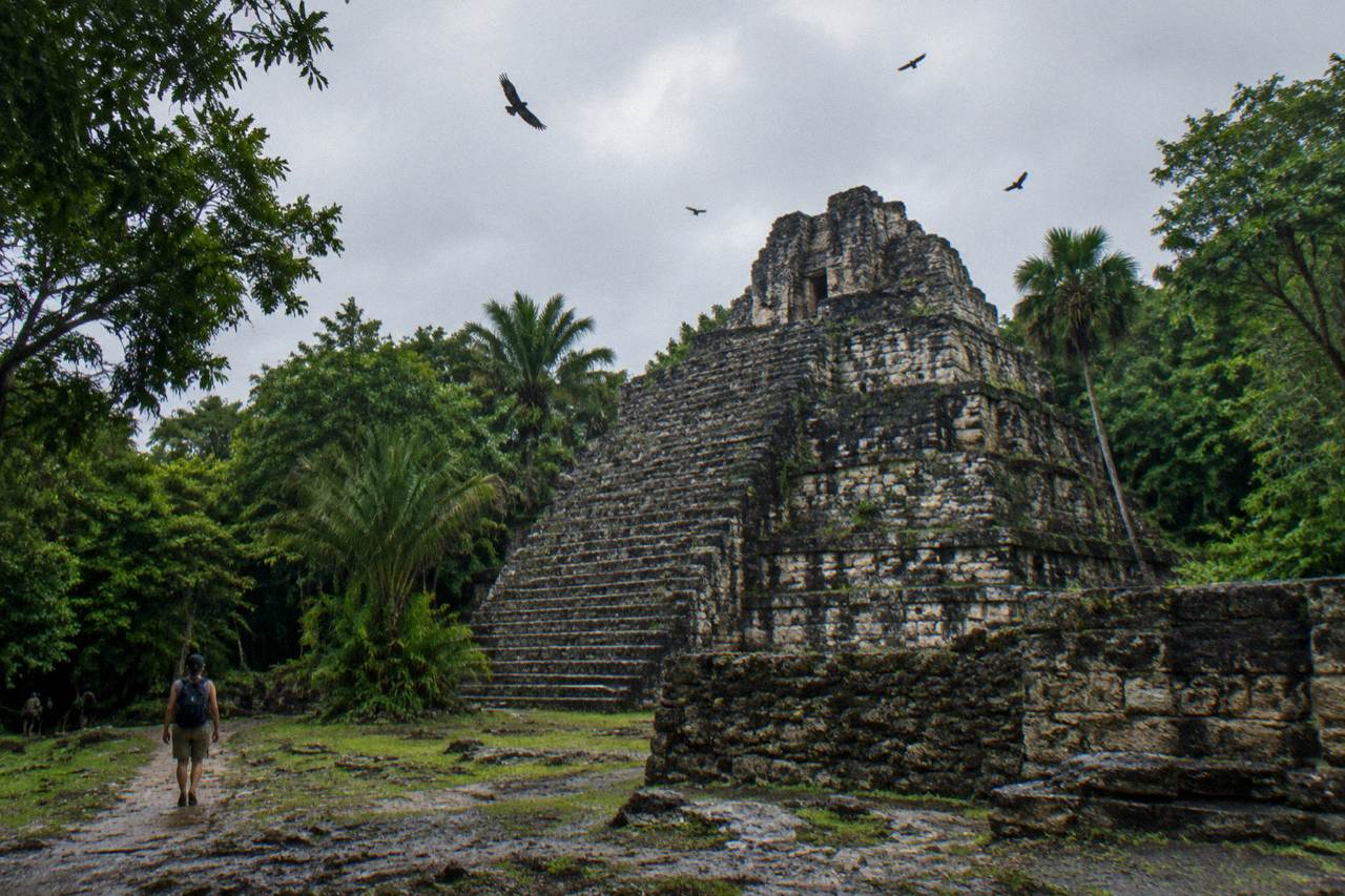 Ancient stone Maya pyramid rising above dense green jungle at Muyil