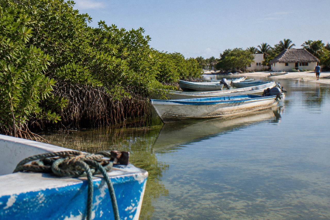 Wooden fishing boats moored in a calm lagoon beside mangroves at Punta Allen