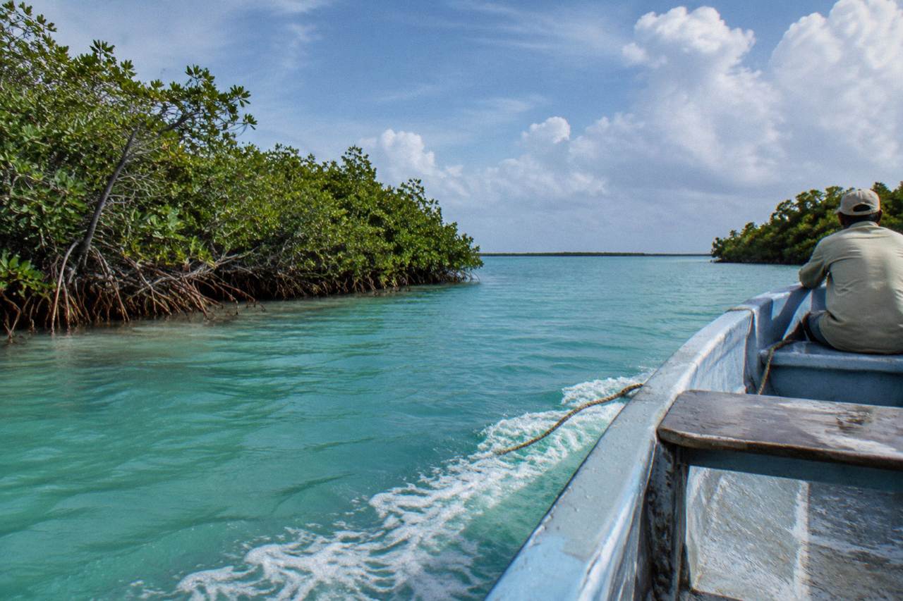 A small open boat crossing a wide turquoise lagoon fringed by mangroves under a bright sky