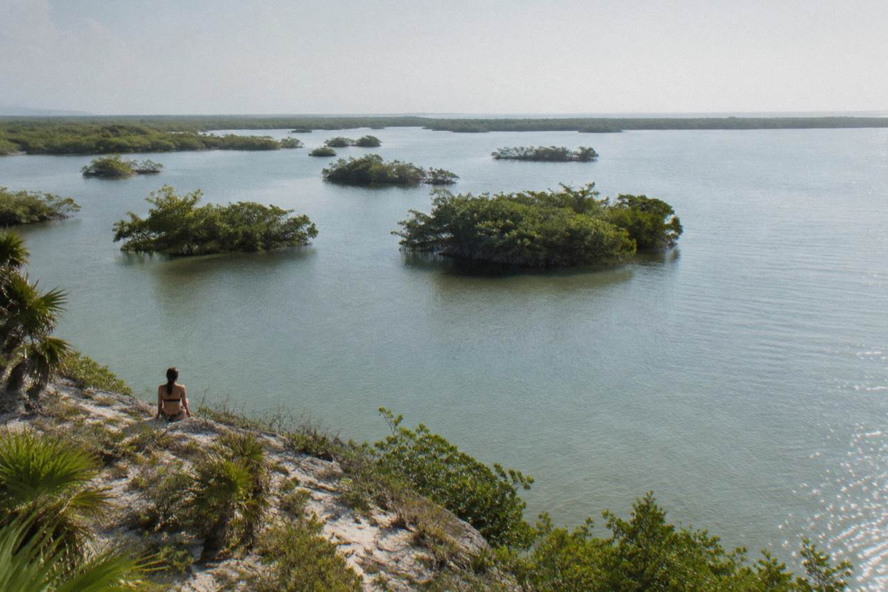 Calm lagoon water with mangrove islands stretching to a low treeline under a wide sky